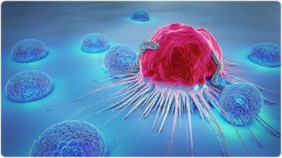 Tế bào tiêu diệt tự nhiên (Natural Killer cell - NK) và những điều cần biết